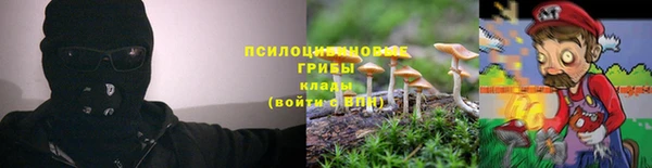 ECSTASY Володарск